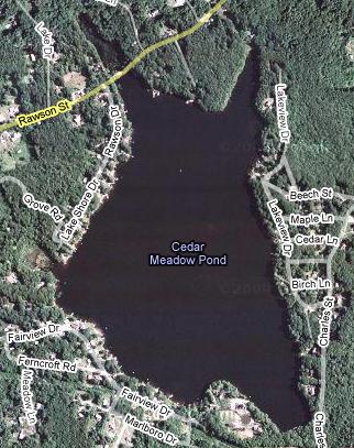 Cedar Meadow Pond satellite photo